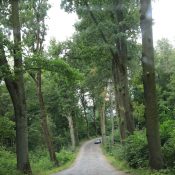 Die Straßen erreichen eine Qualitätsstufe, die wir auf der gesamten Strecke selten hatten